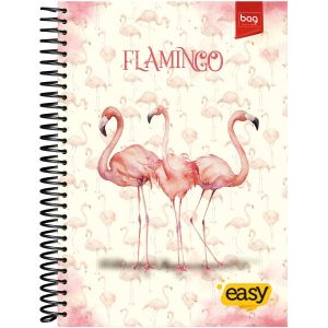 CADERNO UNIV CD 15X1 EASY BAG FEM. 300FL - BAG