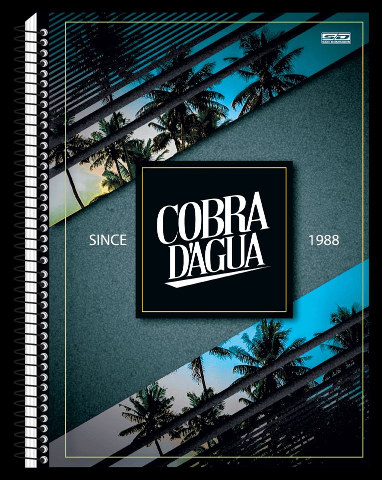 Caderno Universitário Capa Dura 10x1  200 fls  Cobra D'agua - SD