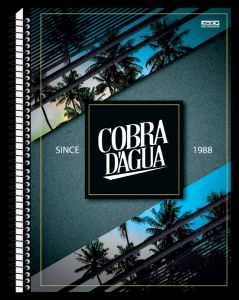 Caderno Universitário Capa Dura 20x1  400 fls  Cobra D'agua - SD